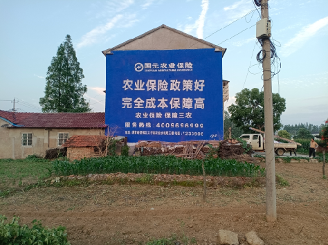 麻阳墙体广告为何受追捧？